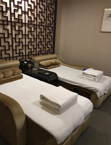 
		自吸风烫衣机
	(图15)